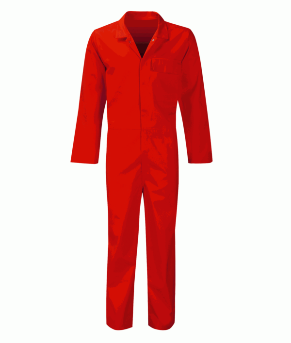 PLBS - CALLISTO FR COTTON COVERALL - Image 4