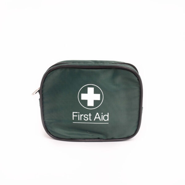 TRAVEL FIRST AID KIT ONE PERSON - GREEN BAG