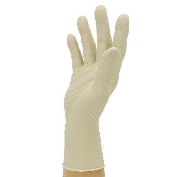 GN31 Latex Powder Free Gloves